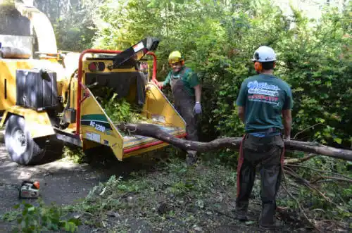 tree services Sopchoppy